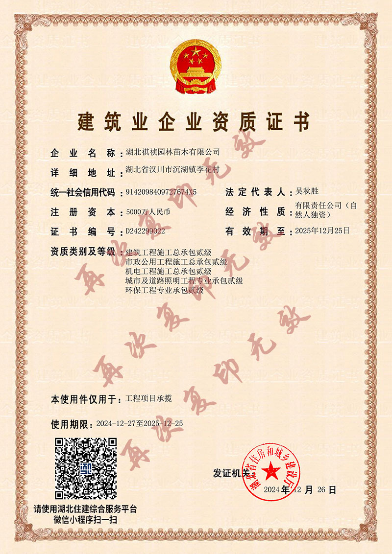 建筑業企業資質證書.jpg
