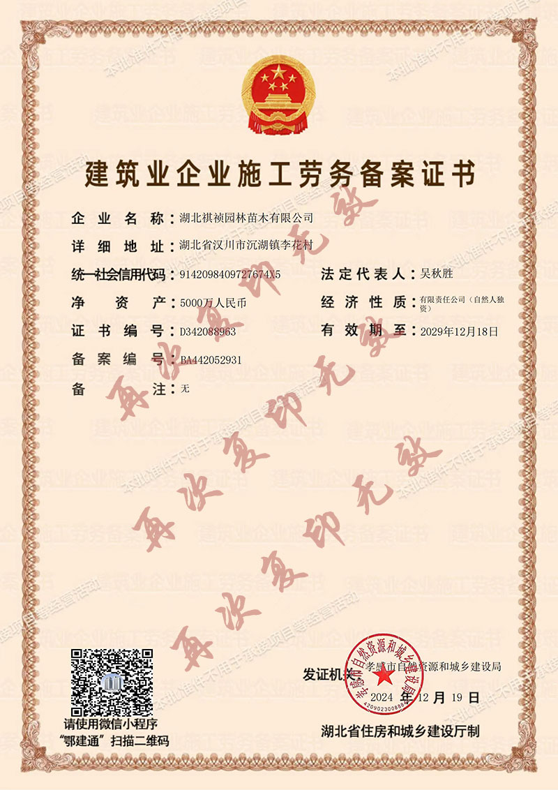 建筑業企業施工勞務備案證書.jpg